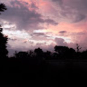 Meet your Posher, Esmeralda